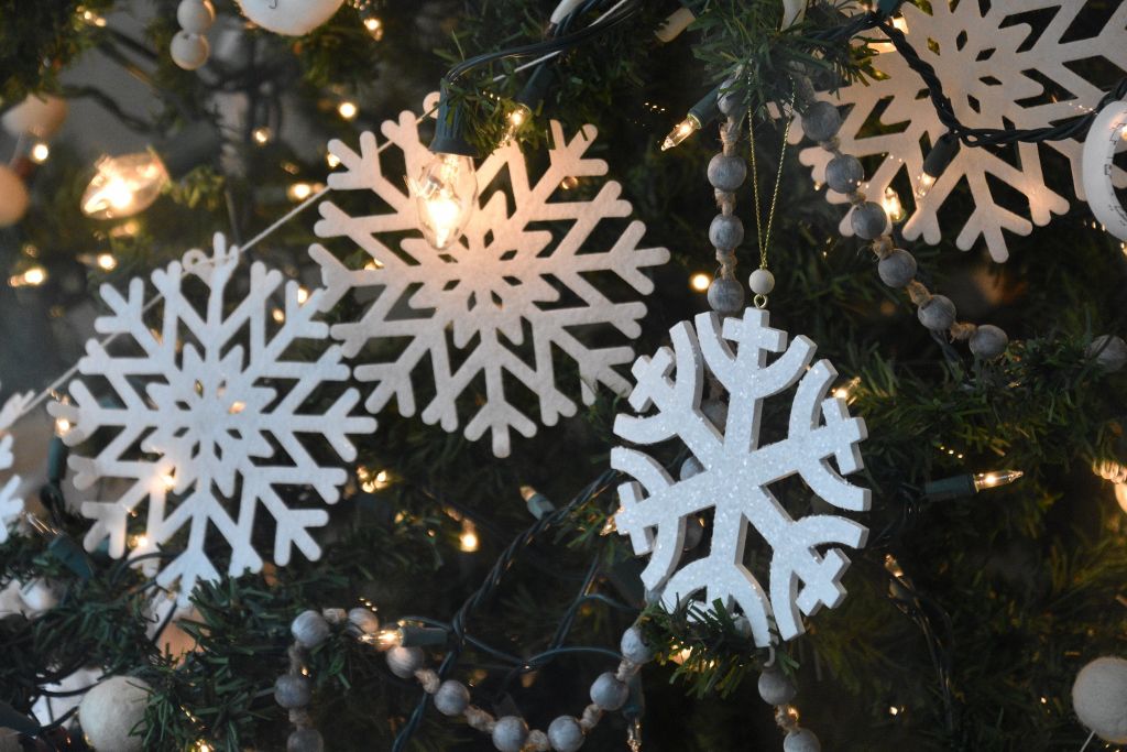snow 1-31-20 049 (1024x683).jpg